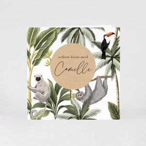 Junglekaart met eco bol
