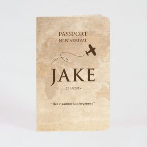 Luxe paspoort geboortekaart met vliegtuigje