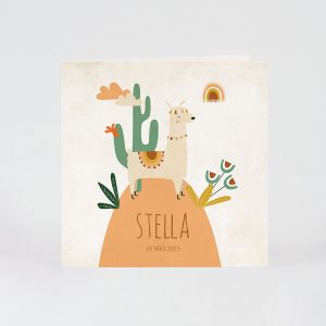 Trendy geboortekaartje met een vorlijke alpaca