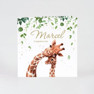 Vertederende geboortekaart mama giraf en kleintje
