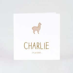 Wit blanco geboortekaartje in luxe papier - Mix and match