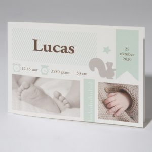 Geboortekaartje Lucas