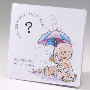 Beschuit met muisjes - Geboortekaartje