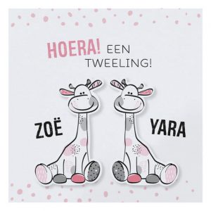 Geboortekaartje - Girafje